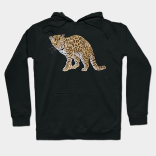 Margay Hoodie